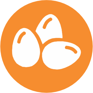 Huevos